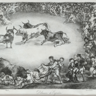 Spanish Entertainment by Francisco de Goya, a crowded bullring scene filled with moving figures