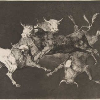 Little Bulls' Folly by Francisco Goya, a cluster of airborne bulls against a dark background
