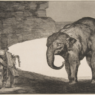 Animal Folly by Francisco Goya, an elephant with a curled trunk facing a small group of men