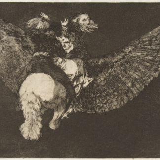 Flying Folly by Francisco Goya