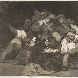 General Folly by Francisco Goya