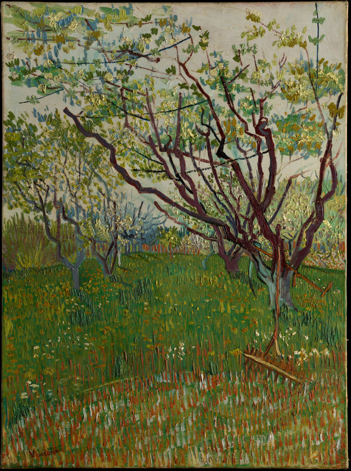 The Flowering Orchard by Vincent van Gogh