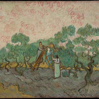 Women Picking Olives by Vincent van Gogh