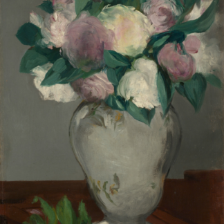 Peonies: white and pink peonies in a pale vase with a fallen flower on a table.