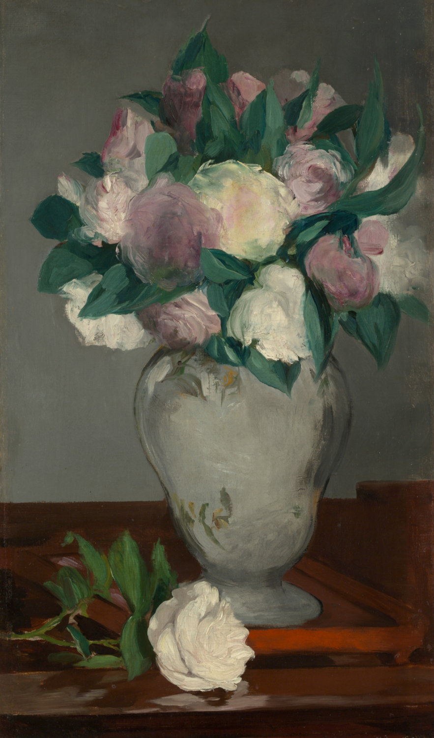 Peonies: white and pink peonies in a pale vase with a fallen flower on a table.