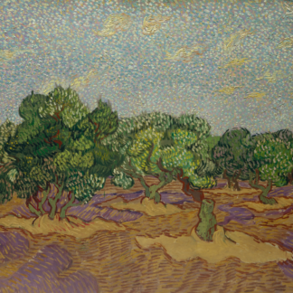 Olive Trees by Vincent van Gogh