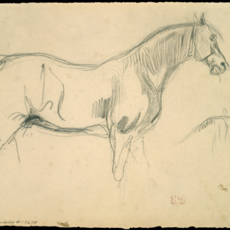 Studies of a Horse in Profile by Eugène Delacroix