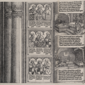 The Tomb Erected by Maximilian — Albrecht Altdorfer, Hans Springinklee and Albrecht Dürer