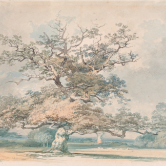 A Landscape with an Old Oak — Formerly attributed to J. M. W. Turner.