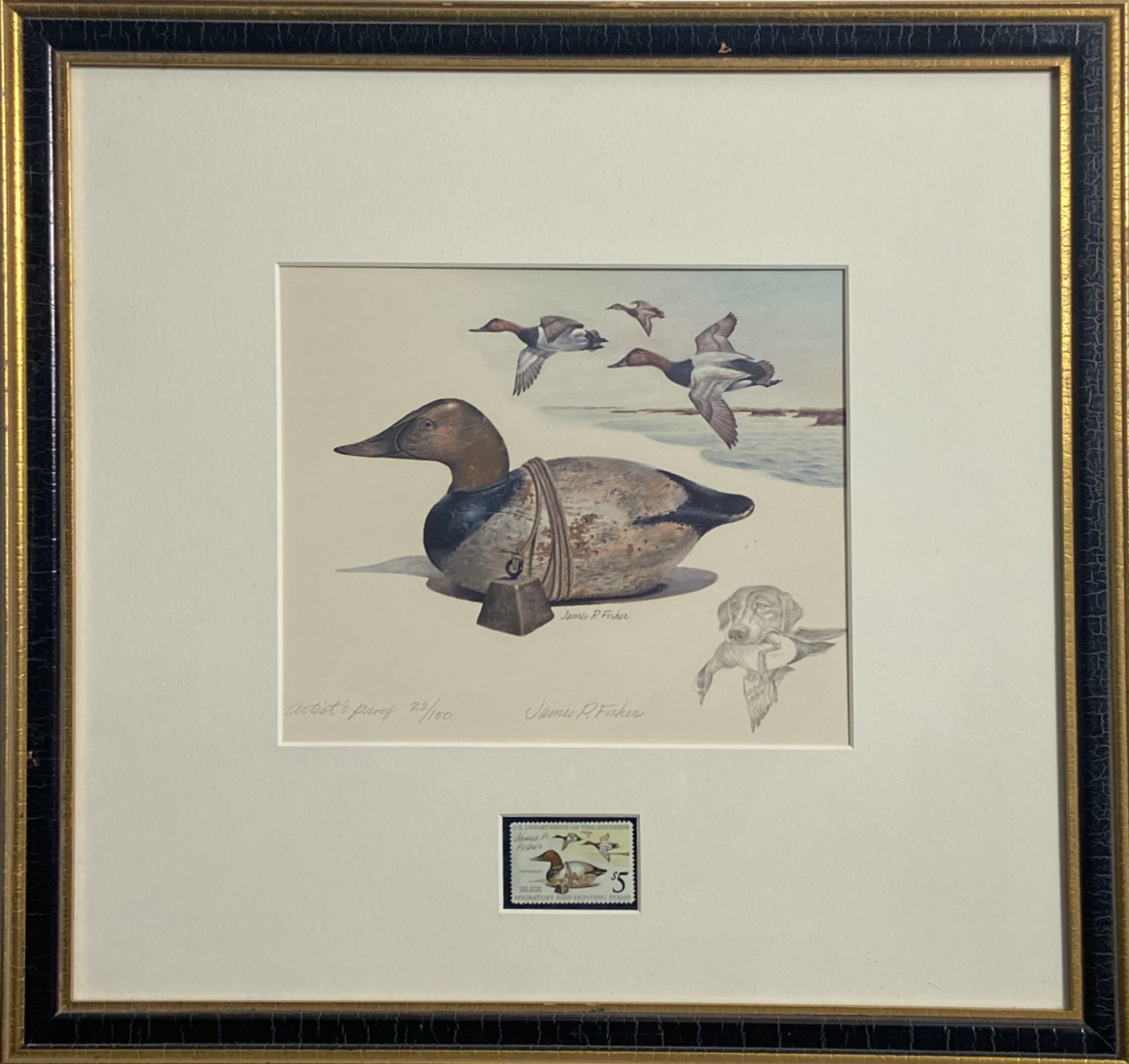 James P. Fisher - Rare Artist Proof of Federal Duck Stamp Print