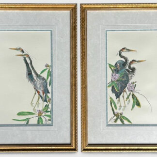 Joy Swan - Limited Edition Prints of Two Herons
