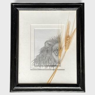 Debbie Connett Artist Signed Lion Etching Mixed Media