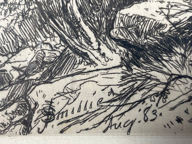 James David Smillie Original Etching “Deer’s Leap, Lake George” 1883 Op. 27 - Image 3