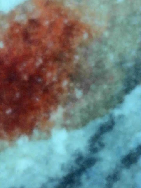 Magnified watercolor surface detail of Mildred Wyatt's coastal scene