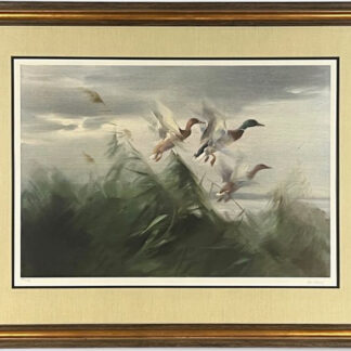Full framed view of Manfred Schatz — Out of the Marshgrass, Signed Limited Edition 463/750