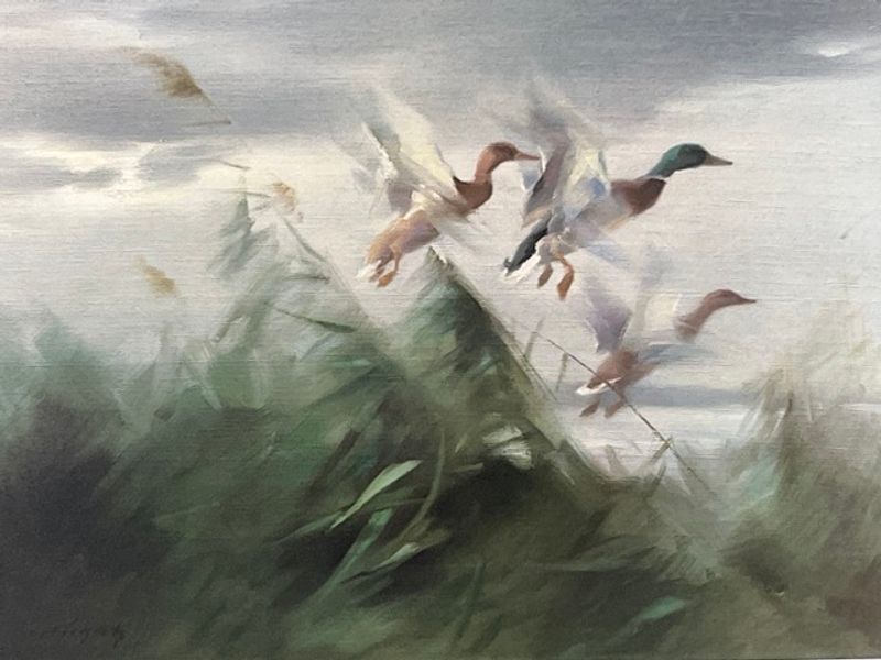 Artwork detail of Manfred Schatz — Out of the Marshgrass, Signed Limited Edition 463/750