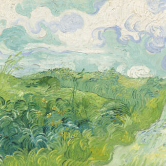 Green Wheat Fields, Auvers by Vincent van Gogh