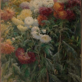Chrysanthemums in the Garden at Petit-Gennevilliers by Gustave Caillebotte