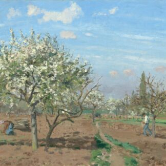 Orchard in Bloom, Louveciennes by Camille Pissarro
